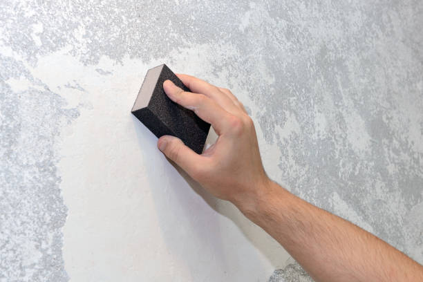 Best Mold Prevention Services  in Ponderosa Park, CO