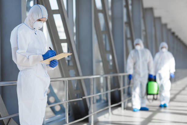 Best Basement Mold Removal  in Ponderosa Park, CO