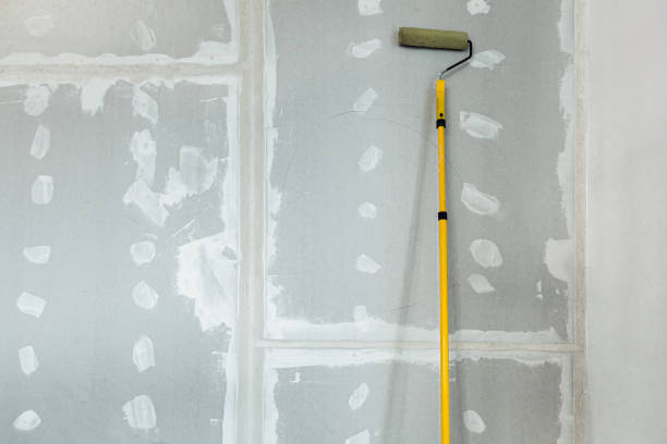 Professional Mold Removal in Ponderosa Park, CO