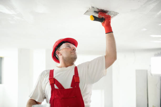 Best Commercial Mold Inspection  in Ponderosa Park, CO
