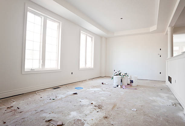 Best Mold-Related Health Consultation  in Ponderosa Park, CO