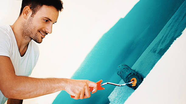 Best Environmental Consulting for Mold Prevention  in Ponderosa Park, CO